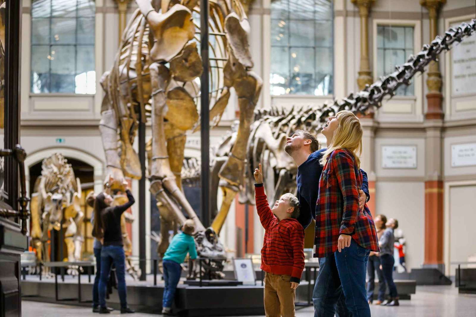 Biglietto Museo di Storia Naturale Berlino: dinosauri