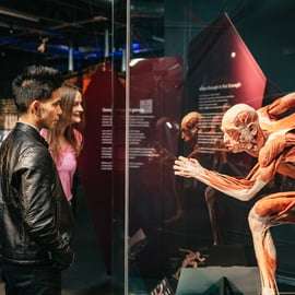Berlino: Biglietti per il Museo BODY WORLDS di Berlino