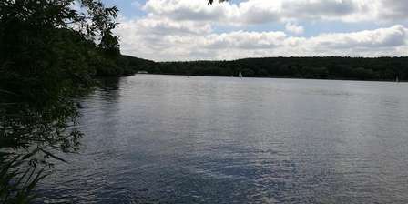 Area cani Grunewald