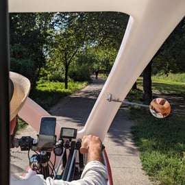 Tour di Berlino in risciò elettrico con prelievo