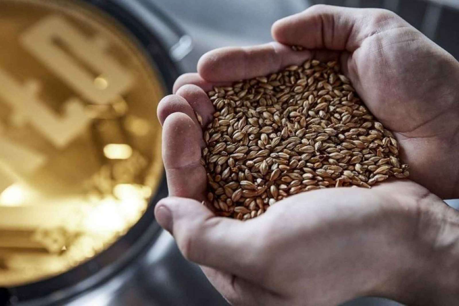 Berlino: Tour della BRLO BRWHOUSE e degustazione di birra artigianale
