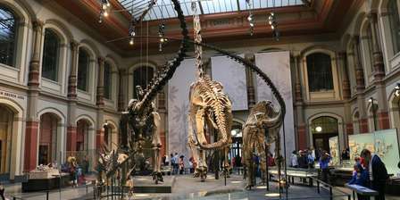 Museum für Naturkunde