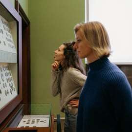 Isola dei Musei Berlino: biglietto di un giorno