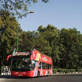 Bus hop-on hop-off a Potsdam: 15 fermate, bus scoperto