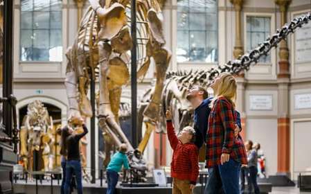 Berlino: Biglietto d'ingresso per il Museo di Storia Naturale