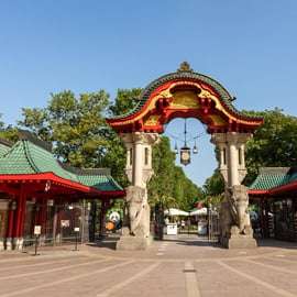 Biglietto per lo Zoo di Berlino con i panda giganti
