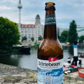 Tour storico dei pub e della storia di Berlino