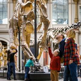 Biglietto Museo di Storia Naturale Berlino: dinosauri