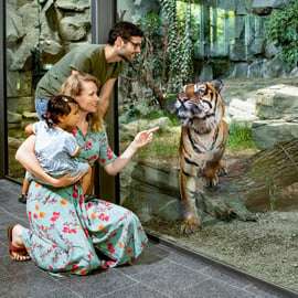 Biglietti Tierpark Berlino: lo zoo più grande d'Europa