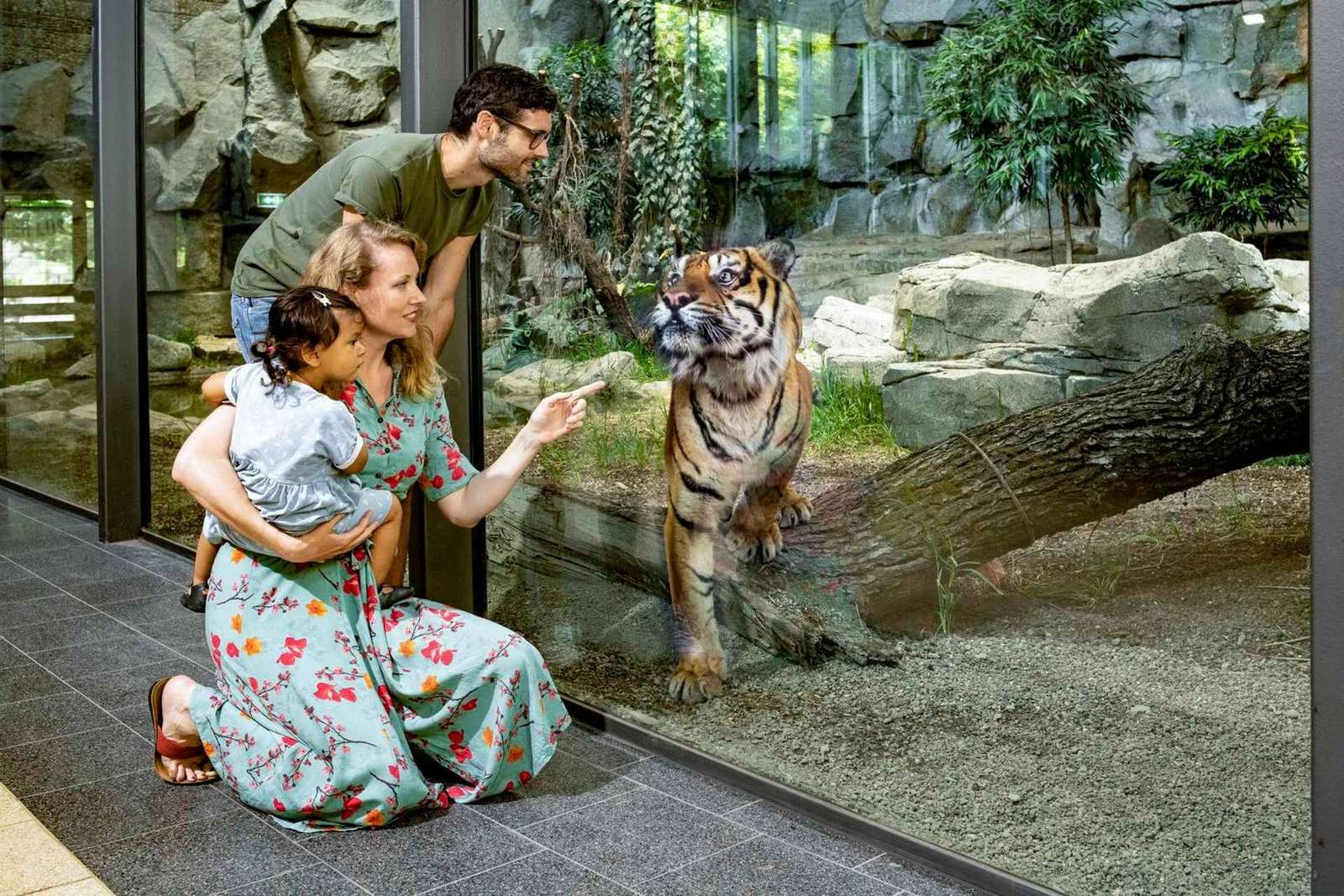 Biglietti Tierpark Berlino: lo zoo più grande d'Europa
