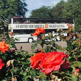 Bus hop-on hop-off a Berlino con commento dal vivo