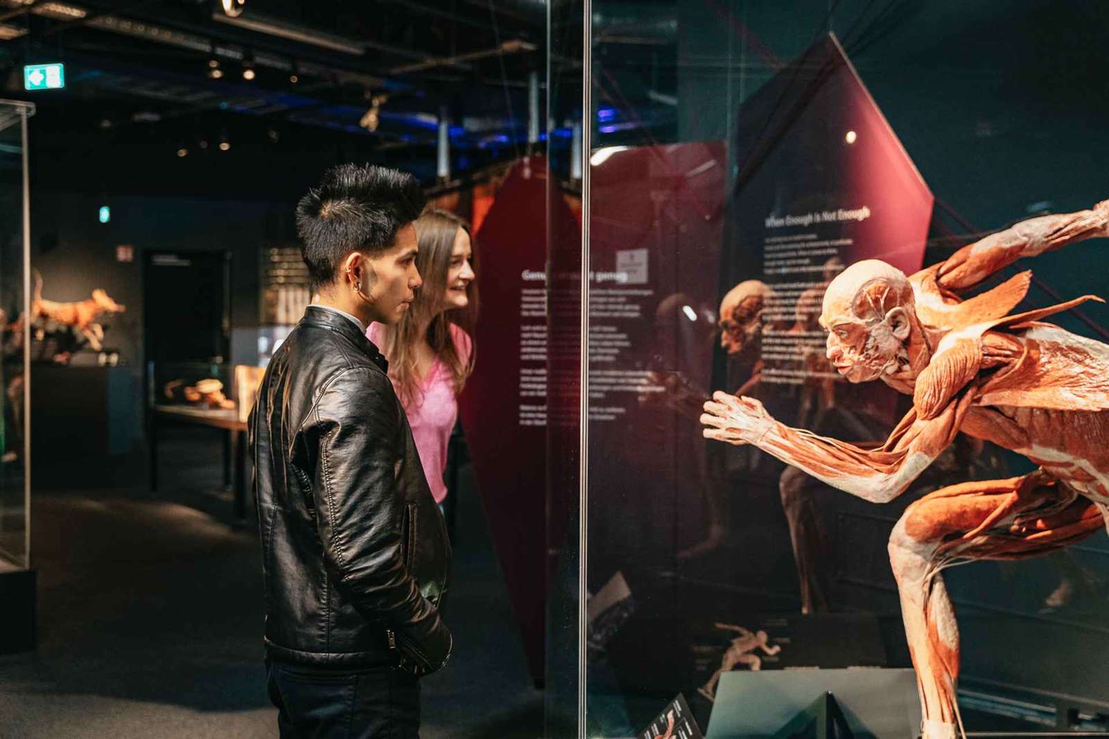 Berlino: Biglietti per il Museo BODY WORLDS di Berlino