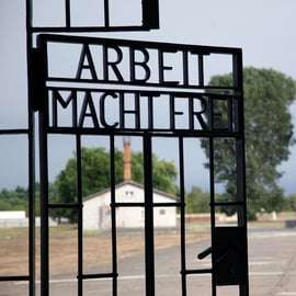 Berlino: Tour per piccoli gruppi del Giorno della Memoria di Sachsenhausen