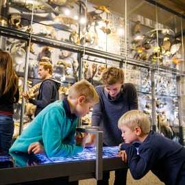 Biglietto Museo di Storia Naturale Berlino: dinosauri