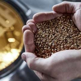 Berlino: Tour della BRLO BRWHOUSE e degustazione di birra artigianale